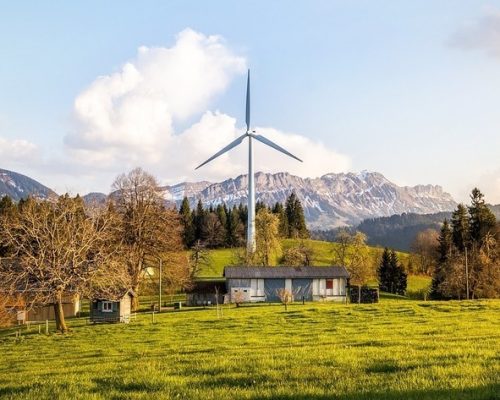 Cómo contribuir al medioambiente con marcos naturales